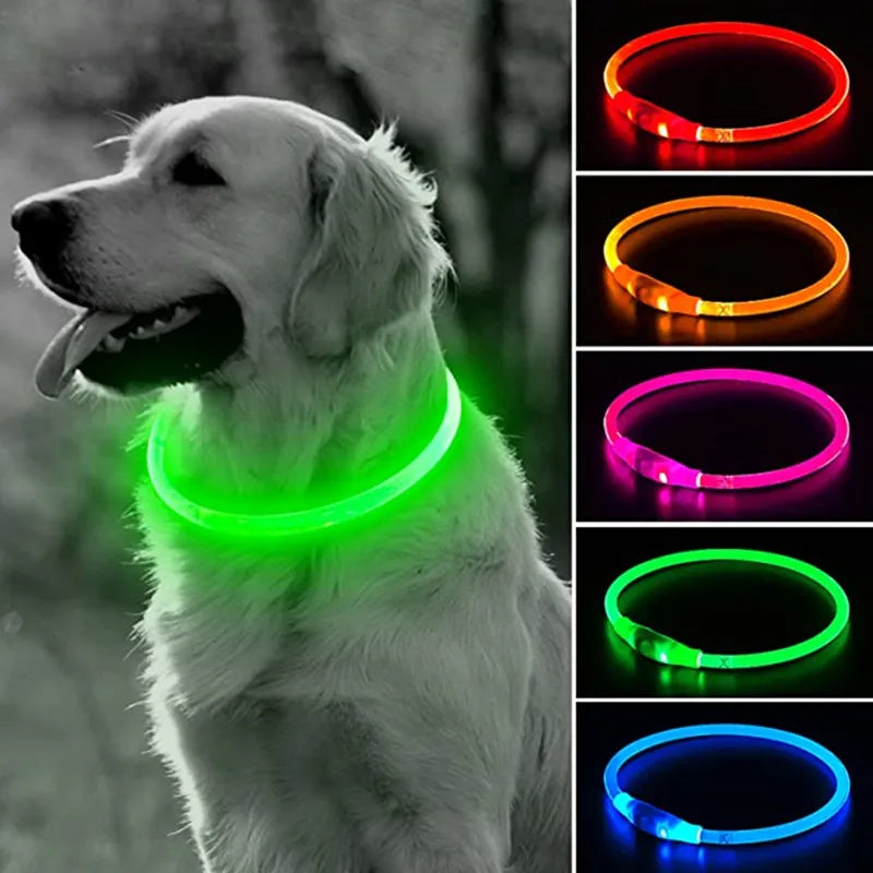 LED Dog Collar with 3 Modes Glowing Luminous USB Cat Dog Loss Prevention Pet Accessories Eye Catching Keep Short