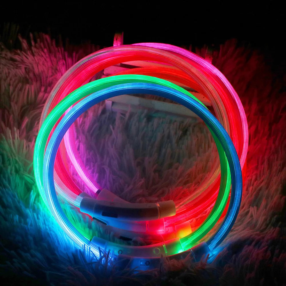 LED Dog Collar with 3 Modes Glowing Luminous USB Cat Dog Loss Prevention Pet Accessories Eye Catching Keep Short